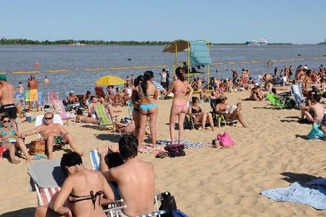 Rosario: inventan un dispositivo para evitar los ataques de las palometas