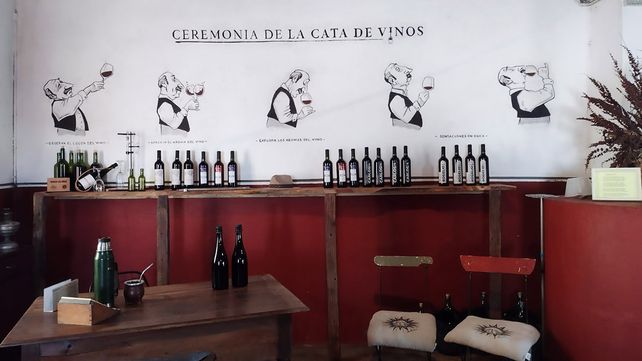 Las etapas de la cata