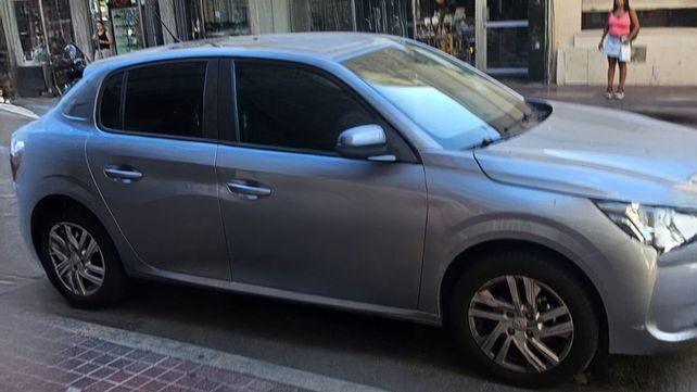 El perro murió dentro de un auto estacionado en Corrientes al 600.