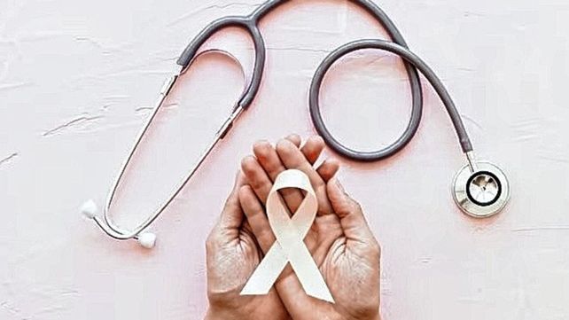 Propuesta. El taller busca debatir sobre el abordaje de las campañas de prevención de cáncer de mama en términos