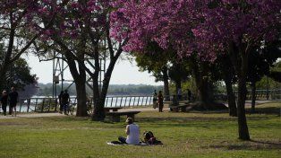 Las condiciones para el fin de semana largo serán primaverales y el tiempo dará la nota en Rosario.