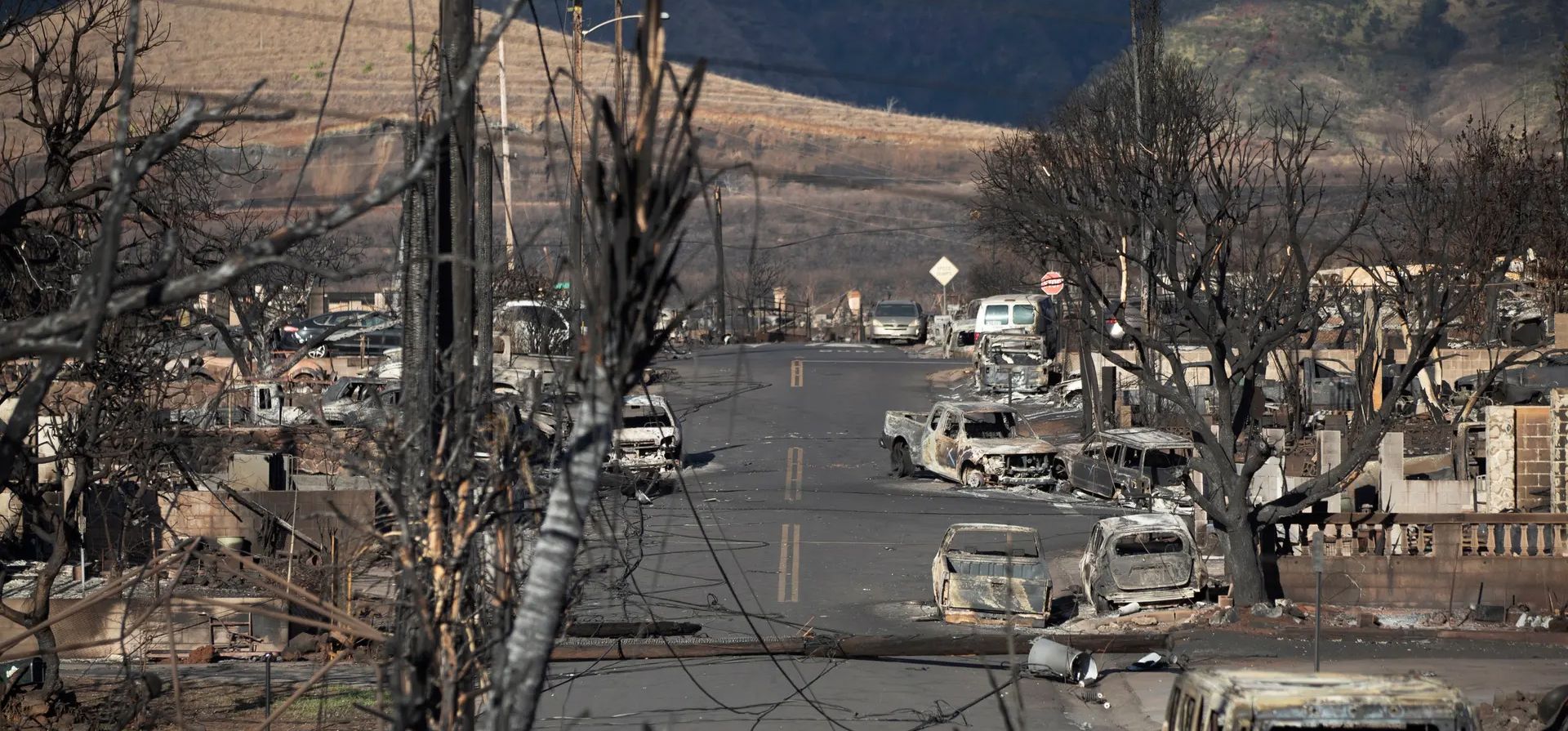 Hawái, Estados Unidos. Árboles y coches quemados y las ruinas de casas son lo que queda después de que el fuego arrasara la ciudad de Lahaina, en el oeste de la isla de Maui en Hawai. Al menos 93 personas murieron en incendios forestales en la isla, el mayor desastre natural en la historia de Hawai. Fotografía: Étienne Laurent/EPA Hawái, Estados Unidos. Árboles y coches quemados y las ruinas de casas son lo que queda después de que el fuego arrasara la ciudad de Lahaina, en el oeste de la isla de Maui en Hawai. Al menos 93 personas murieron en incendios forestales en la isla, el mayor desastre natural en la historia de Hawai. Fotografía: Étienne Laurent/EPA