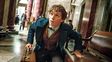 Fantástico. Eddie Redmayne, la cara más visible de las nuevas películas sobre el mundo mágico de J.K. Rowling.