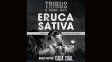 Eruca Sativa llega a Tribus presentando A tres días de la tierra