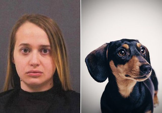 Se filmó teniendo sexo con su perro salchicha y fue presa