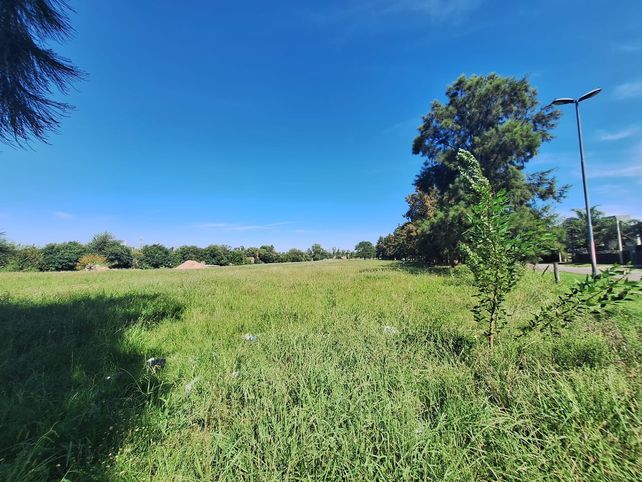Dos barrios piden una cancha de golf en el Bosque de los Constituyentes
