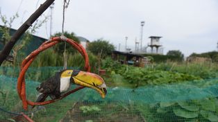 El Parque Huerta Nº7 de zona oeste, ubicado en Favario 8050.