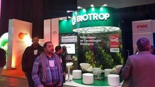 Novedoso tratamiento de semillas con bioprotección del cultivo