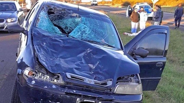 El equino impactó en el parabrisas del Fiat Palio y los ocupantes fueron asistidos.