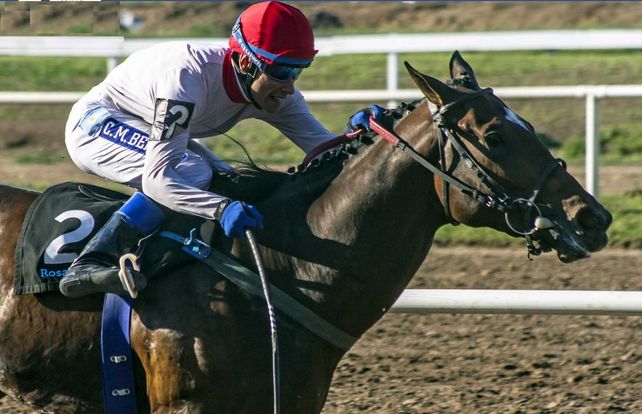 Volver a ser. Diamante Azul fue anotado en 1.200 y 1.400 metros. En la que sea ratificado