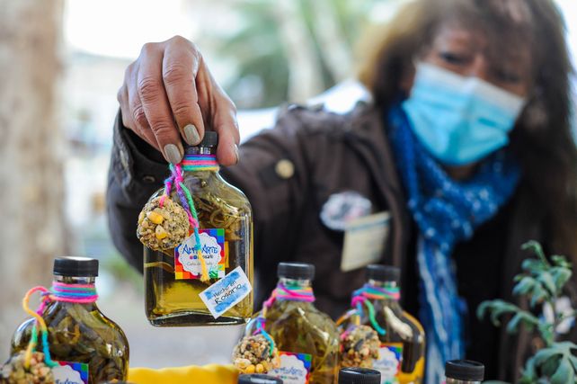 Tradición milenaria. Este lunes hay que tomar tres sorbos de caña con ruda en ayunas.