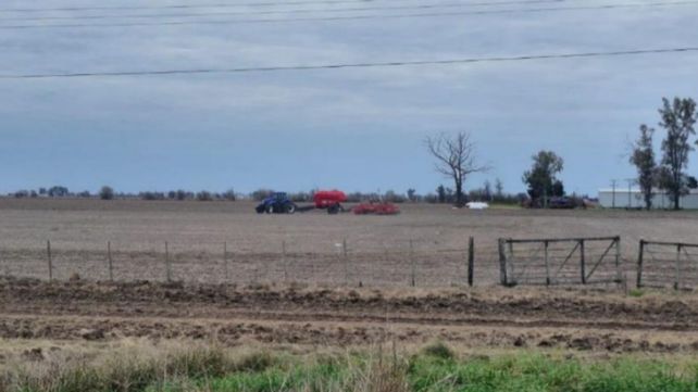 El clima ayuda. El progreso de las tareas sigue dependiendo de las posibilidades de acceso a los campos y de la marcada irregularidad en la distribución de las condiciones ambientales.