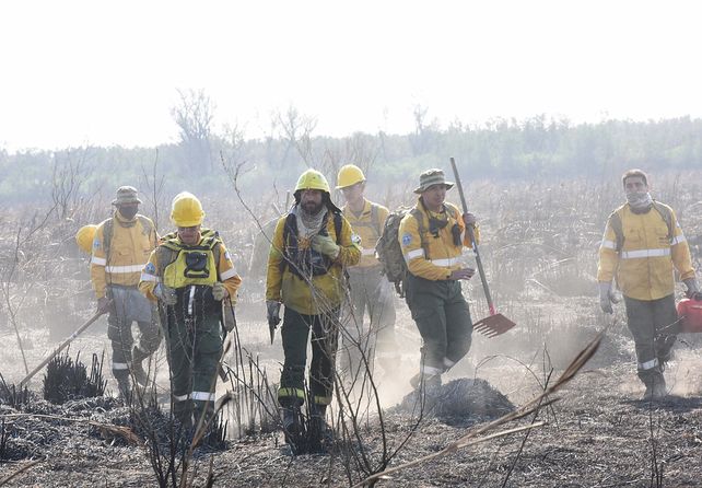 Brigadistas haciéndole frente al fuego y la devastación en el 2020