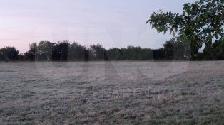 Día de la Bandera con heladas en la antesala del invierno