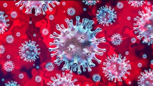 Un grupo de científicos logró neutralizar el coronavirus en menos de un segundo
