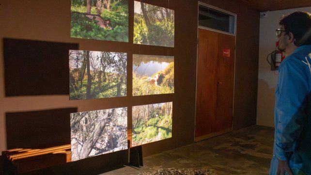 El 2° Encuentro Entrerriano de Artes Visuales confirmó talleres y mantiene abierta la convocatoria