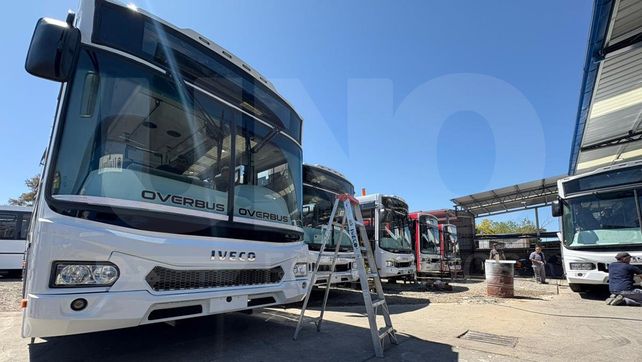 Ya ensamblan y plotean los colectivos que circularán en Paraná