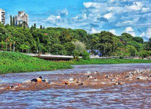 El Campeonato Entrerriano de Aguas Frías tendrá su fecha en Concordia