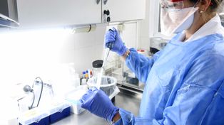 En el laboratorio público del Cemar se analizan por semana unas 30 muestras para confirmar o descartar dengue