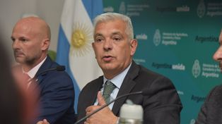 El ministro de Agricultura, Julián Domínguez, anunció el Plan Ganadero Nacional.