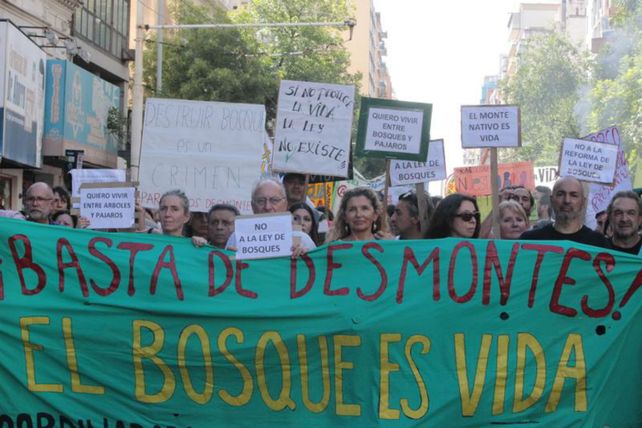 No al desmonte. Quedan menos de 500 mil hectáreas de bosques..&nbsp;