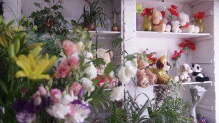 Regalar flores