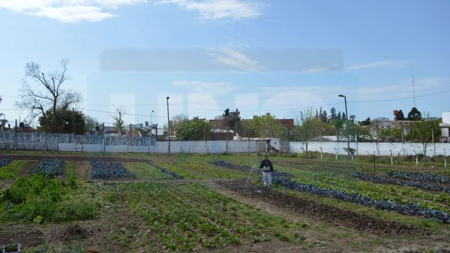 Huerta de la UP&nbsp;