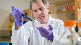Científicos trabajan en una vacuna de emergencia contra el virus del zika
