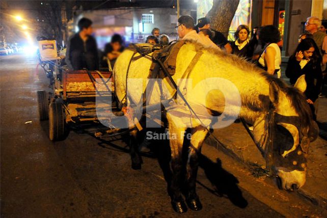 Un auto atropelló a un chico que manejaba un carro junto a sus hermanos