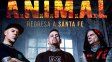 A.N.I.M.A.L. regresa a Tribus presentando Legado, su último disco