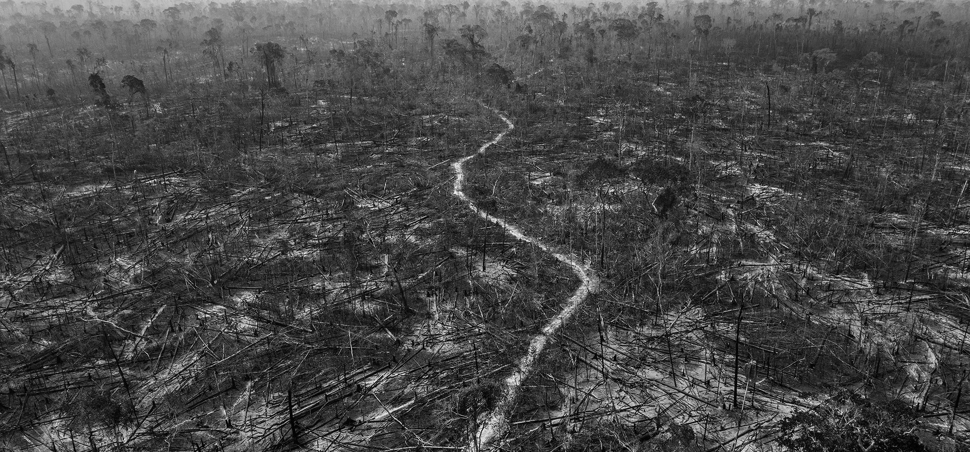 Amazonian Dystopia, de Lalo de Almeida para Folha de Sao Paulo/Panos Pictures, que ganó el premio World Press Photo Long-Term Project, muestra que la deforestación masiva es evidente en Apui, un municipio a lo largo de la Carretera Transamazónica, sur del Amazonas, Brasil, 24 de agosto de 2020. Apui es uno de los municipios más deforestados de la región. (Lalo de Almeida para Folha de Sao Paulo/Panos Pictures/World Press Photo vía AP)