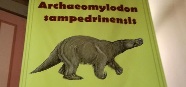 El animal habitó la zona hace 800 mil años. El cráneo se halló en una tosquera y hoy está en el Museo de San Pedro
