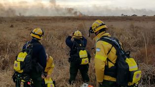 Incendios: la Provincia afirma que también aporta a la Justicia