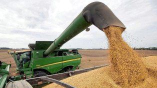 Productores entrerrianos aceleran ventas de soja en plena cosecha