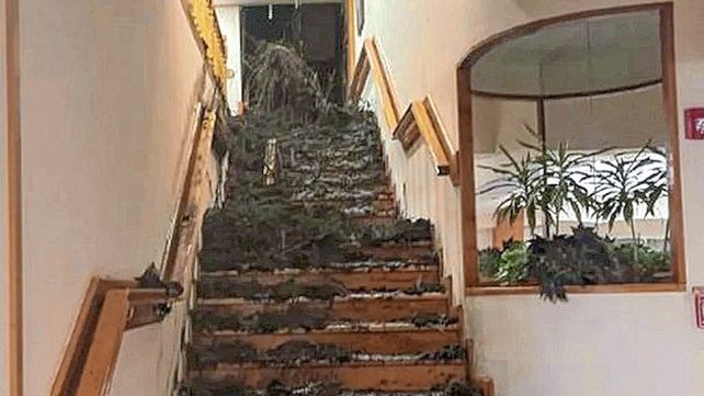 Bariloche: turista murió sepultado por un alud en un hotel