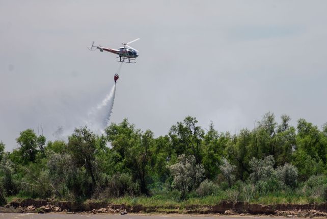 El paso de los incendios por la Isla de los Mástiles, en imágenes