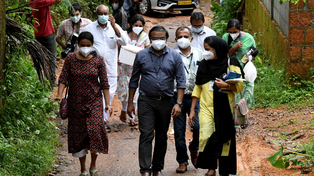India bajo la lupa: qué es el virus del Nipah y cómo se transmite