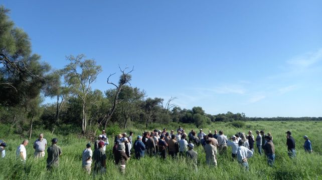 Agricultura regenerativa. El ciclo de eventos Regenera comenzó a realizarse en 2018 por el interior de la Argentina brindando talleres presenciales.