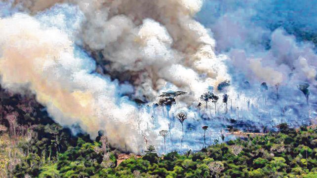 Arde la selva. Los incendios que comenzaron el 10 de agosto devastaron más de 70 mil hectáreas.