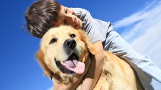 Una aplicación del celular ayuda a saber qué sienten y qué piensan los perros