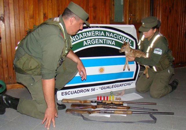 Los oficiales de Gendarmería con el ciervo rescatado