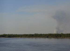 Ocho provincias argentinas continúan con focos de incendios forestales activos
