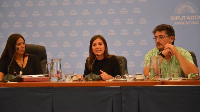 Raverta pidió a los diputados que aprueben la moratoria previsional