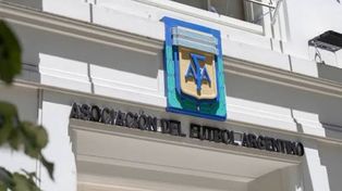 Las frases del mail coinciden con declaraciones públicas del entrenador egipcio Hossam Hassan y del jugador Mostafa Ziko.