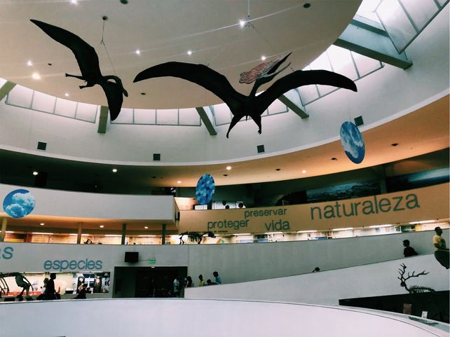 Tres museos imperdibles