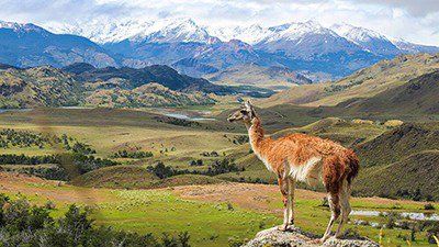 Parque Nacional Patagonia