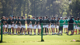 Banfield realiza gestiones por refuerzos indicados por el DT Diego Dabove