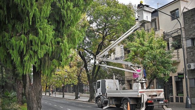 Trabajos de iluminacion