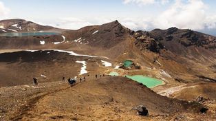 Mueren cuatro argentinos en choque en Nueva Zelanda