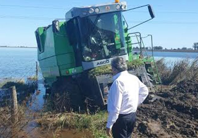 Barro y agua. El ministro Farías